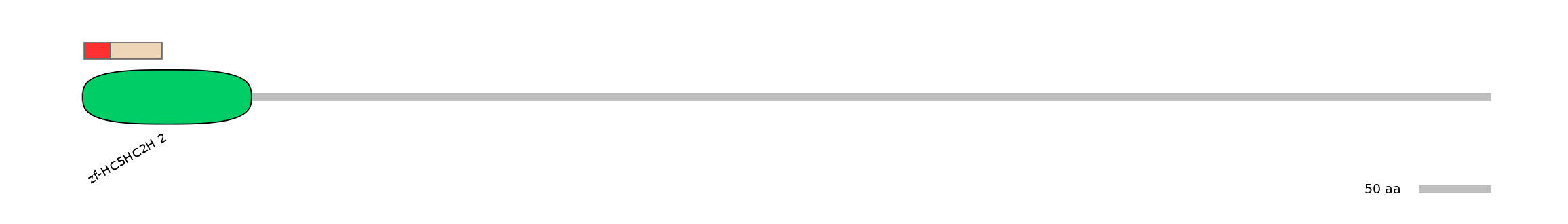 RnoEX0054848-INC