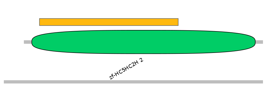 RnoEX0054850-EXC