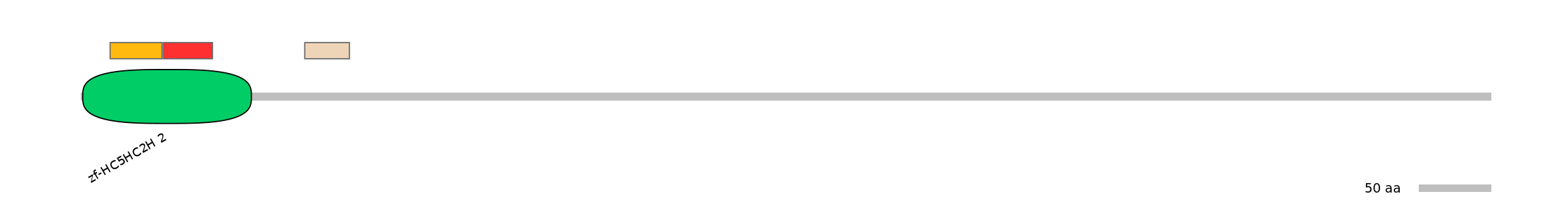RnoEX0054851-INC