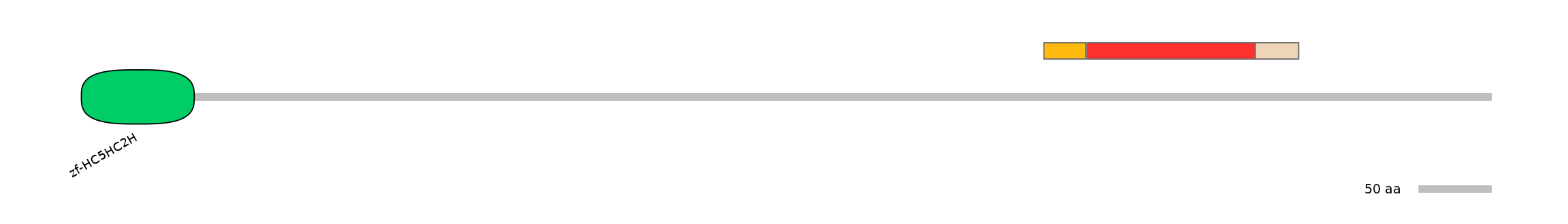RnoEX0054869-INC