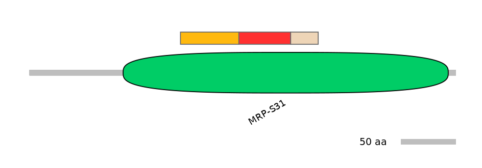 RnoEX0055870-INC
