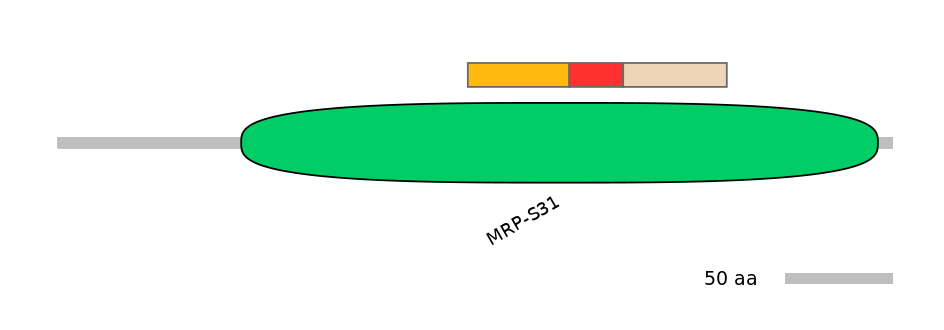 RnoEX0055871-INC