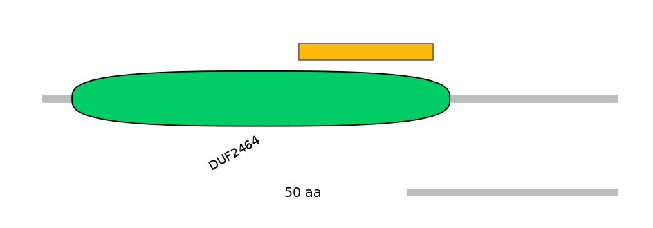 RnoEX0056692-EXC