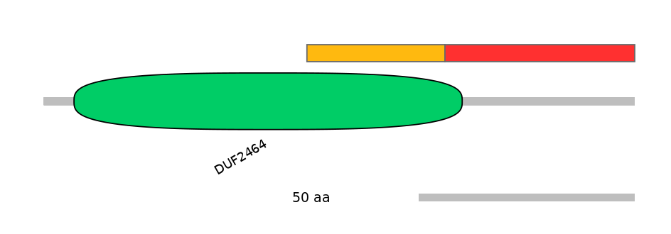 RnoEX0056696-INC
