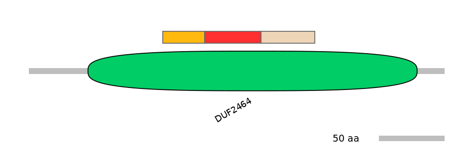 RnoEX0056698-INC