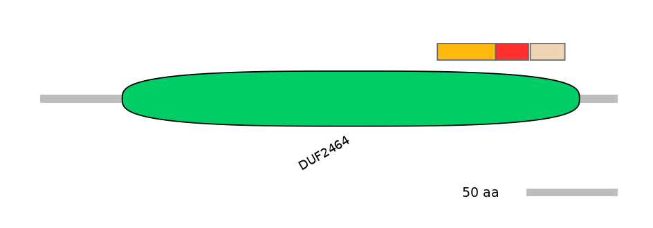 RnoEX0056699-INC