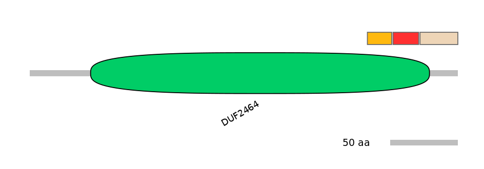 RnoEX0056700-INC