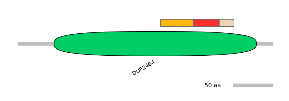 RnoEX0056704-INC