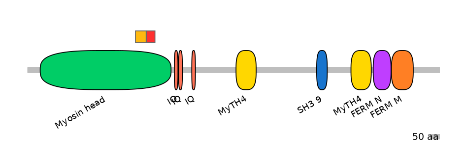 RnoEX0057480-INC