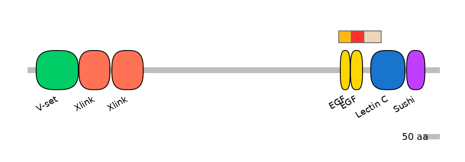 RnoEX0058377-INC