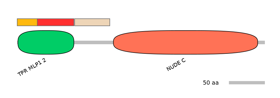 RnoEX0058766-INC