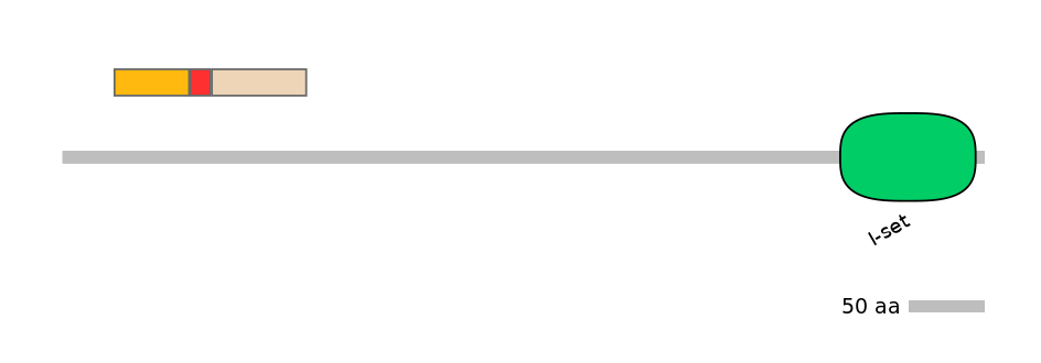 RnoEX0059434-INC
