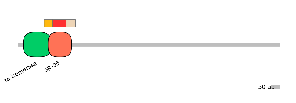 RnoEX0060010-INC