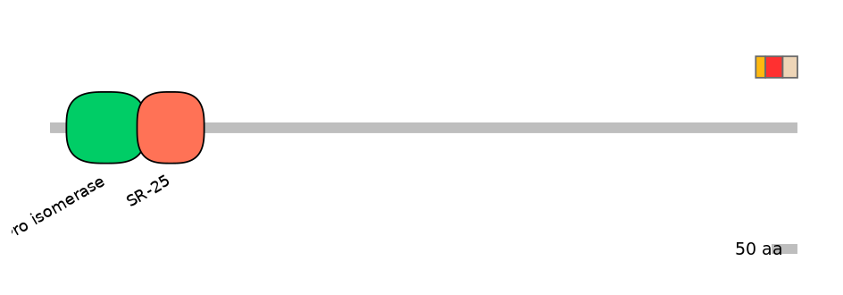 RnoEX0060012-INC