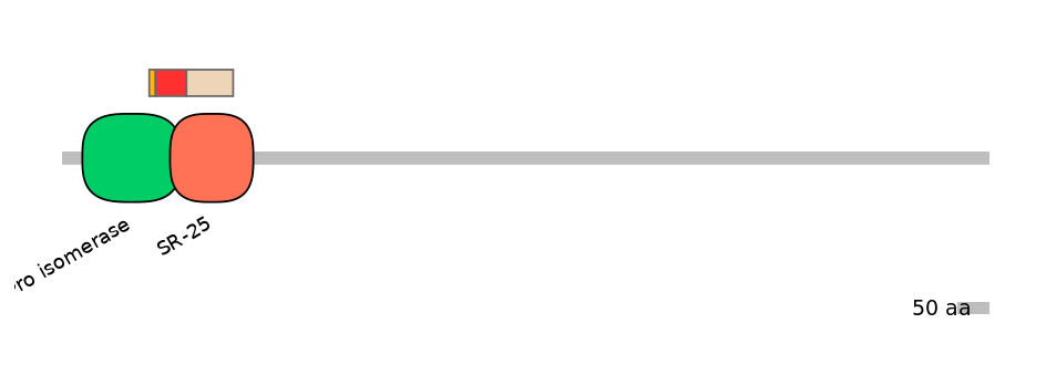 RnoEX0060014-INC