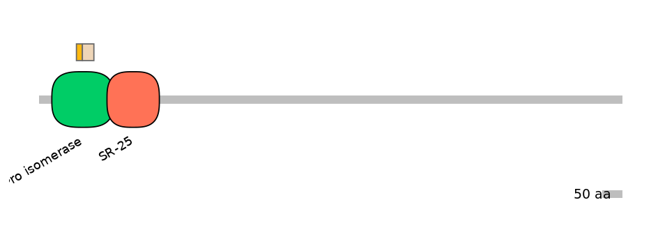 RnoEX0060017-EXC