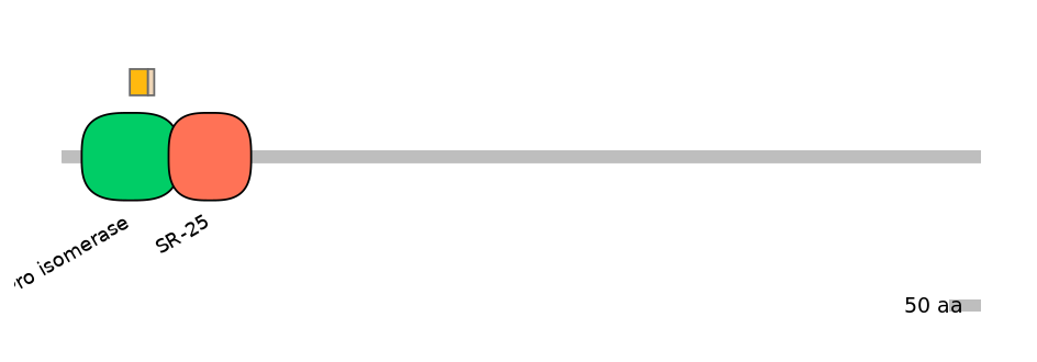 RnoEX0060019-EXC