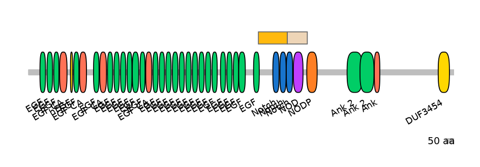 RnoEX0060467-EXC