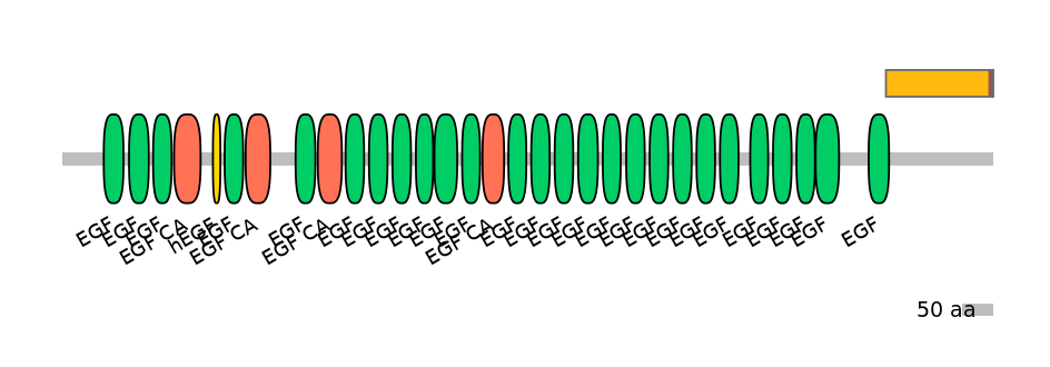 RnoEX0060467-INC