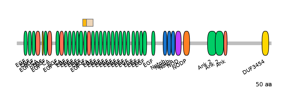 RnoEX0060469-EXC