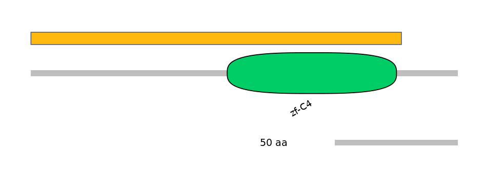 RnoEX0060858-EXC