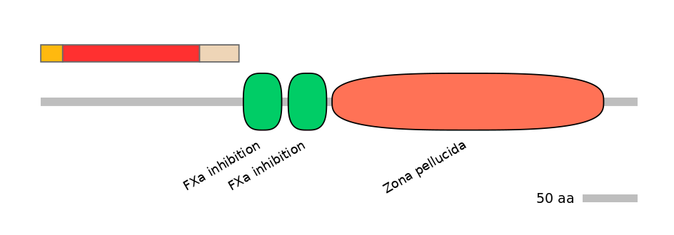 RnoEX0062214-INC