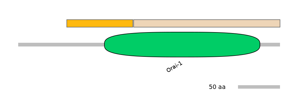 RnoEX0062348-EXC