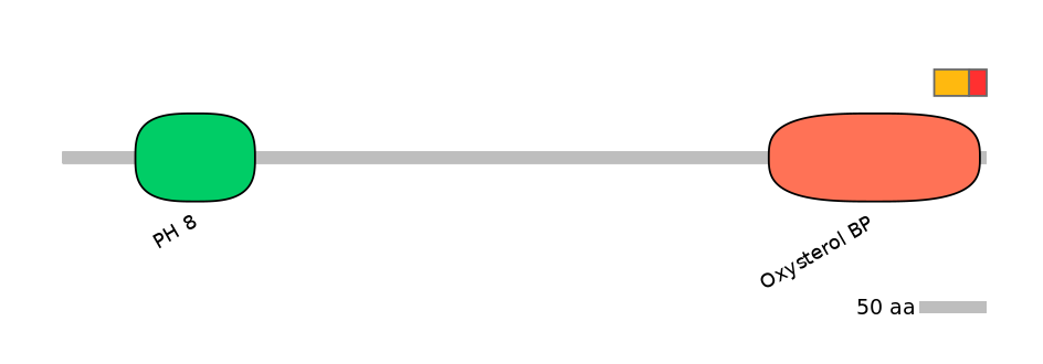 RnoEX0062507-INC