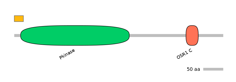 RnoEX0062784-EXC