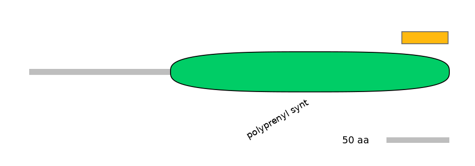 RnoEX0064696-EXC