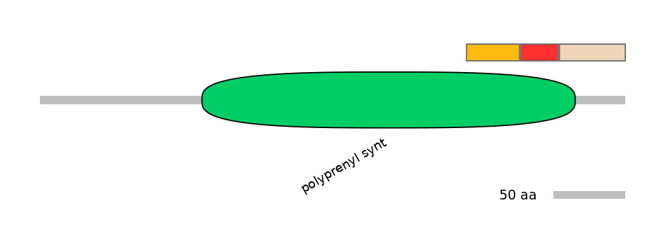 RnoEX0064696-INC