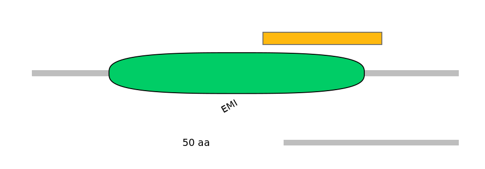 RnoEX0064794-EXC