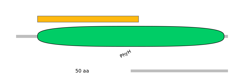 RnoEX0065626-EXC