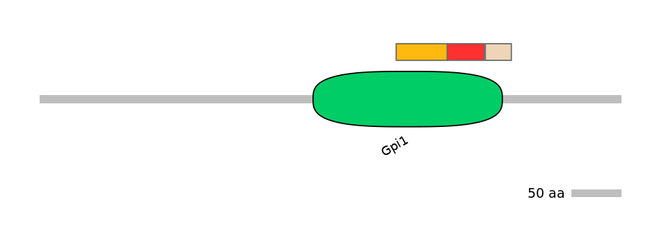 RnoEX0065867-INC