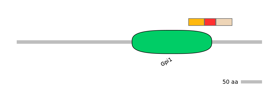 RnoEX0065868-INC