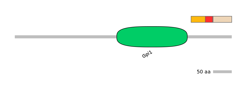 RnoEX0065870-INC