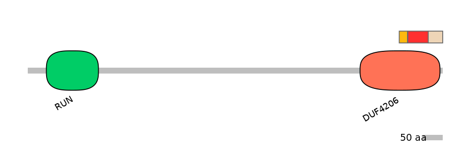 RnoEX0067108-INC
