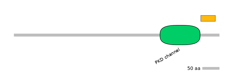 RnoEX0067709-EXC