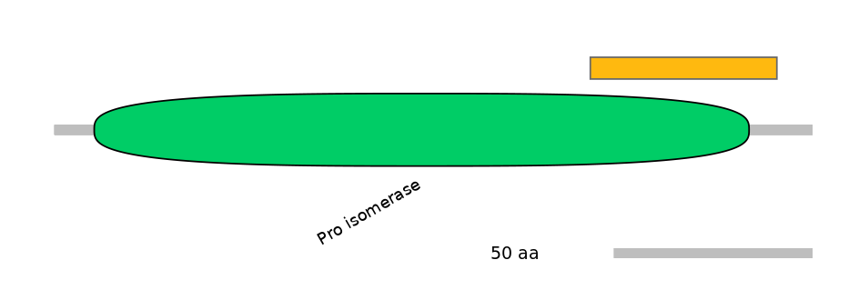 RnoEX0068613-EXC