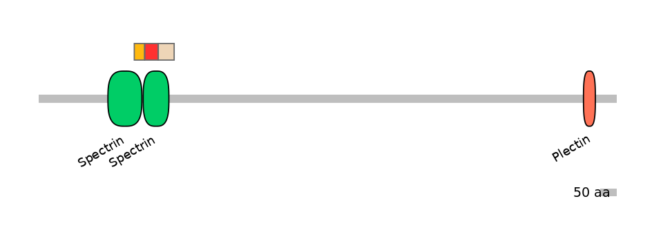 RnoEX0068680-INC