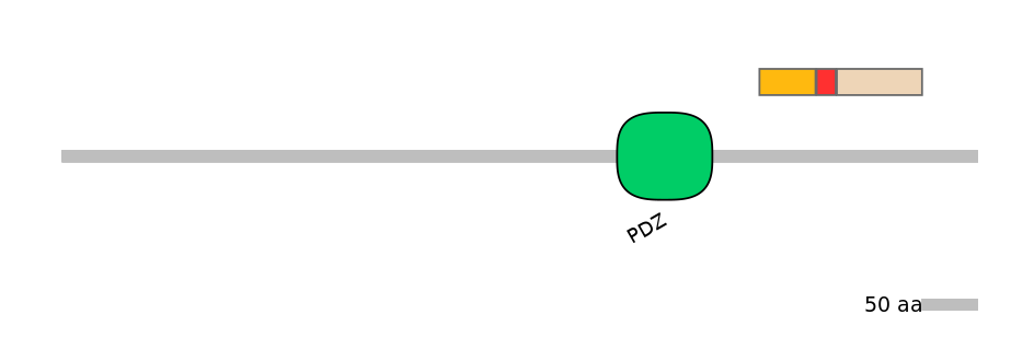 RnoEX0068937-INC