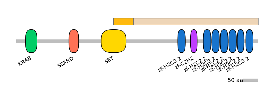 RnoEX0069380-EXC