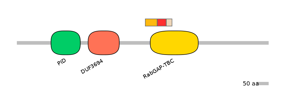 RnoEX0073395-INC