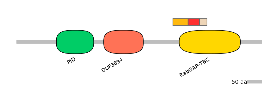 RnoEX0073417-INC