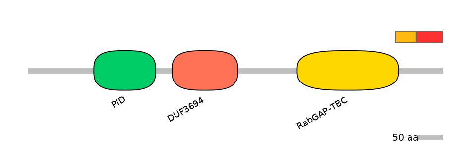 RnoEX0073423-INC