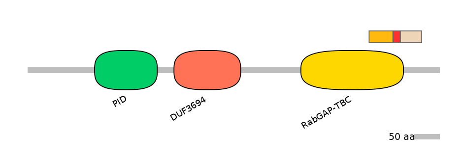RnoEX0073425-INC