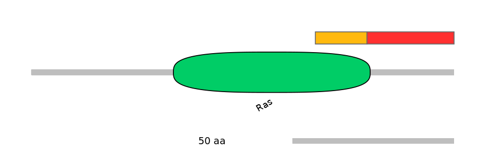 RnoEX0073469-INC