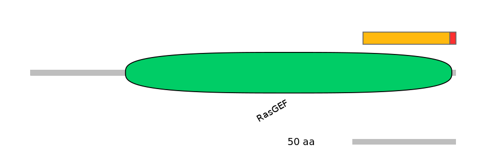 RnoEX0073769-INC