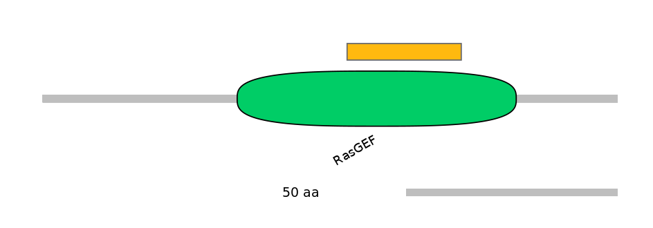 RnoEX0073785-EXC