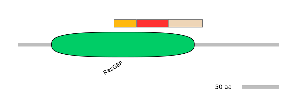RnoEX0073791-INC